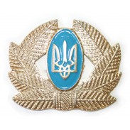 Army Private, Sergeant, Warrant officer Hat / Cap / Beret Badge #1