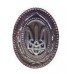 Ukrainian Cap Subdued Badge (plastic) for Generals and High Officers #1