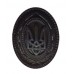 Ukrainian Cap Subdued Badge (plastic) for Generals and High Officers #1