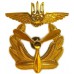 Ukraine Military Aviation Institut Cap Badge (plastic)