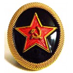 Russian Marine Infantry Beret Badge
