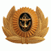 Officer Metal Badge of the Russian Navy 