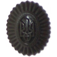  Ukraine Army Officer Hat / Cap / Beret Subdued Plastic Badge #2