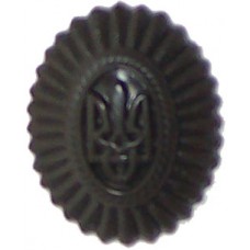  Ukraine Army Officer Hat / Cap / Beret Subdued Plastic Badge #2