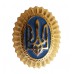 Army Officer Hat / Cap / Beret Badge #1