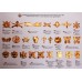 Full set of emblems of the Ukraine armed forces 26 emblem