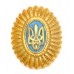 Ukraine Army Officer Hat / Cap / Beret Badge #3