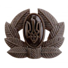 Army Private, Sergeant, Warrant officer Hat / Cap / Beret Subdued Badge