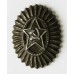 Soviet Russian Army Officer Subdued Cap / Hat Badge