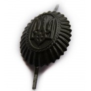 Ukraine Army Officer Hat / Cap / Beret Metal Subdued Badge #1