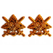 Ukrainian combined arms Color Insignia