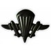 Ukrainian Aeromobile Forces (Airborne) Subdued Insignia