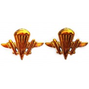 Ukrainian Aeromobile Forces (Airborne) Color Insignia