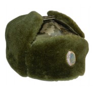 Ukraine Army Digi Camo Winter Hat. Model 2015