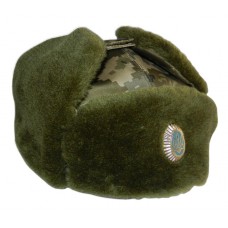 Ukraine Army Digi Camo Winter Hat. Model 2015