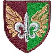 132nd Separate Reconnaissance Battalion Airborne Assault Troops Patch 2019