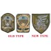 81st Separate Airborne Brigade Patch 2019