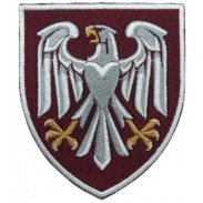 82nd Separate Air Assault Brigade Patch 2023