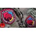 Volunteer Battalion "Marusin Bear" 95th separate airborne brigade. Subdued Patch