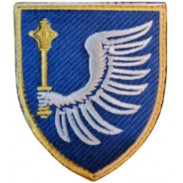 Operational Command of the Air Force Patch