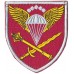 Сommand of the Air Assault Troops Patch