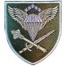 Сommand of the Air Assault Troops Patch