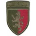 24th separate Mechanized Infantry Brigade 2020