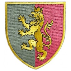 24th separate Mechanized Infantry Brigade 2020