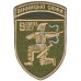 9th separate motorized infantry battalion "Vinnitsa Scythians"