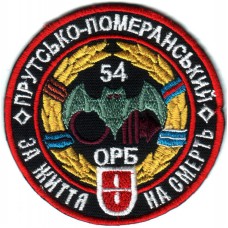 The 54-th Separate Intelligence Battalion Color Patch