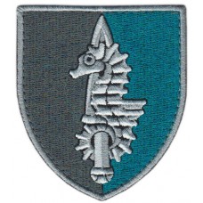 73rd Marine Center for Special Purpose of the Special Operations Forces