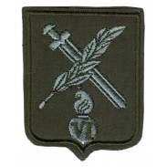 The 6-th Separete Mechanized Brigade in Iraq Subdued Patch