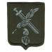 The 6-th Separete Mechanized Brigade in Iraq Subdued Patch