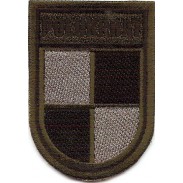 POLUKRBAT Subdued patch of Ukrainian and Polish Batalion in Kosovo