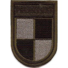 POLUKRBAT Subdued patch of Ukrainian and Polish Batalion in Kosovo