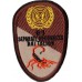The 61-st Separate Mechanized Brigade in Iraq Patch. Ukraine