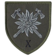 10th mountain Assault Brigade, Subdued Velcro Patch. Ukraine 2019