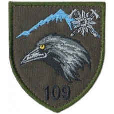 109th Separate Mountain Assault Battalion, Subdued Velcro Patch. Ukraine 2019