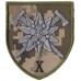 10th mountain Assault Brigade, Subdued Velcro Patch. Ukraine 2019
