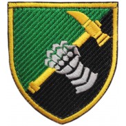 12th Separate Tank Battalion of the Armed Forces of Ukraine