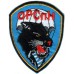 670th separate company Special Purpose Main Intelligence Directorate of the General Staff RUSSIA