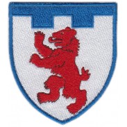 101st Separate Territorial Defense Brigade Patch. Zakarpattya region (Uzhhorod)