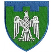 107th Separate Territorial Defense Brigade Patch  Chernivtsi Region