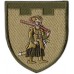110th Separate Territorial Defense Brigade Patch Zaporozhzhie region