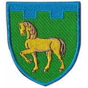 111st Separate Territorial Defense Brigade Patch  Lugansk region