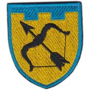 113th Separate Territorial Defense Brigade Patch Kharkiv (Kharkov)  region