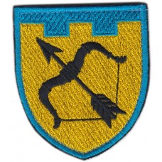 113th Separate Territorial Defense Brigade Patch Kharkiv (Kharkov)  region