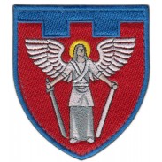114th Separate Territorial Defense Brigade Patch Kiev (Kyiv) region