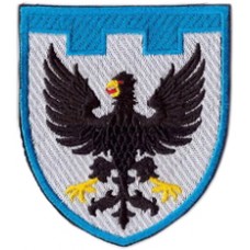 119th Separate Territorial Defense Brigade Patch Chernigov (Chernihiv) region