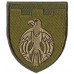 121st Separate Territorial Defense Brigade Patch Kirovograd region